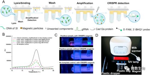 在家自己做核酸檢測 蕭山公司創(chuàng)新產(chǎn)品引領(lǐng)便捷檢測新潮流，計(jì)算機(jī)軟硬件協(xié)同實(shí)現(xiàn)1小時(shí)快速檢測